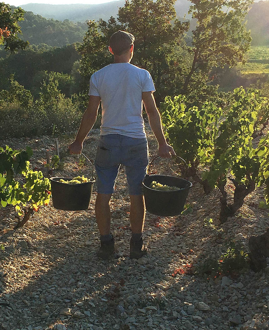 Rhone Valley Gigondas Vineyard Notre Dame des Pallières 