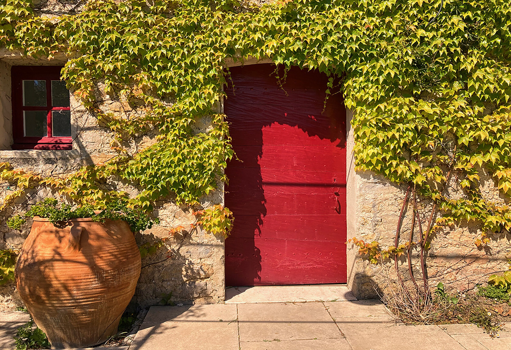 Art of Food Cooking Classes in Provence