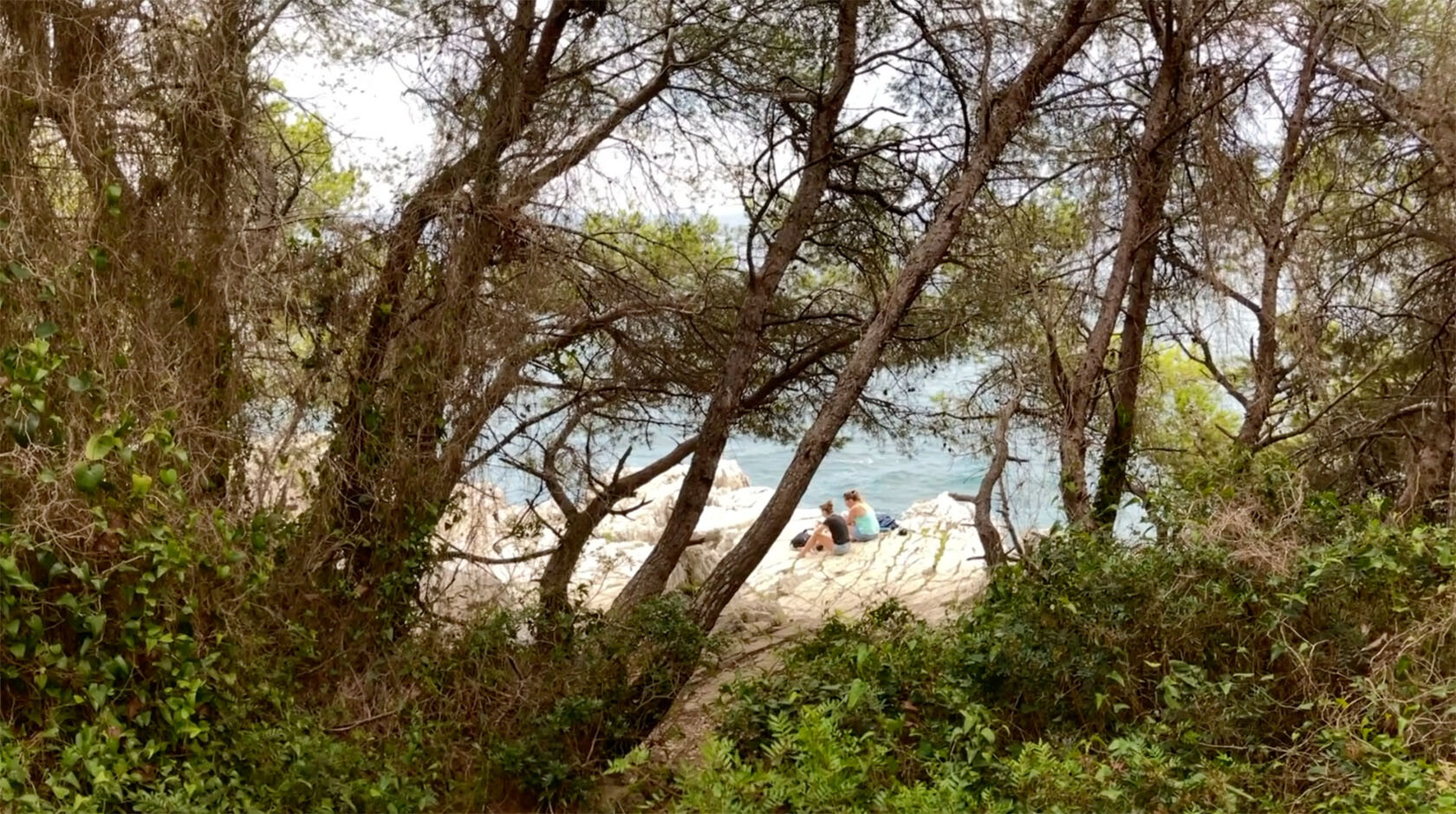 Near Cannes Île Sainte-Marguerite