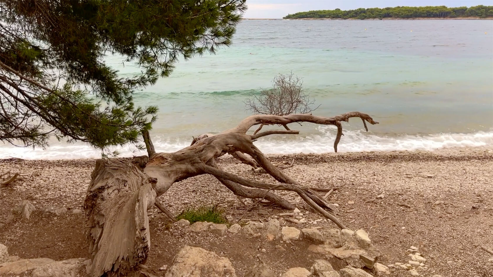 Near Cannes Île Sainte-Marguerite