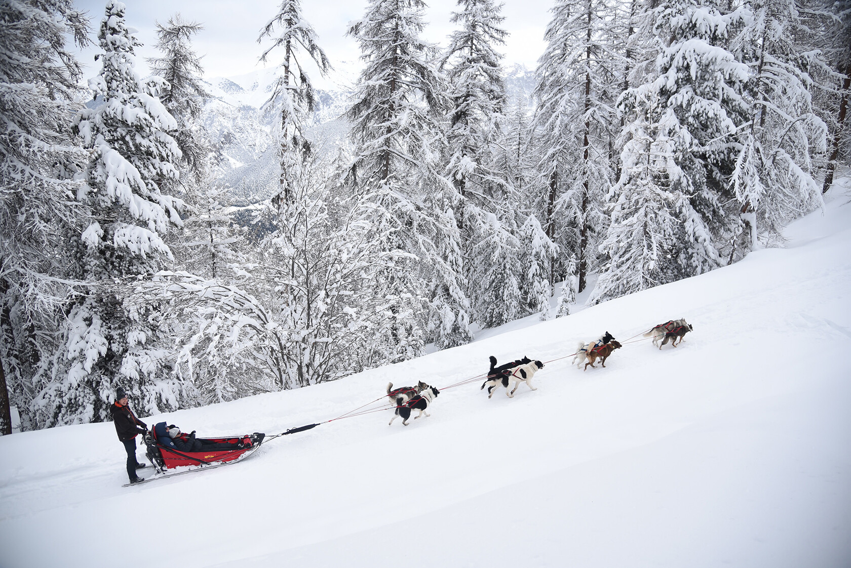 France Southern Alps