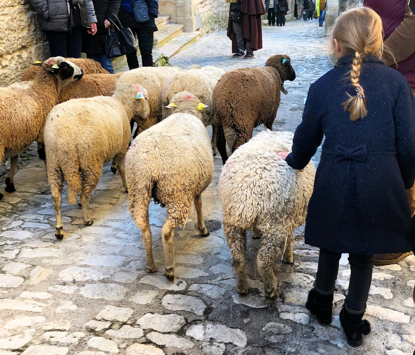 Christmas Traditions in Provence Transhumance Les Baux