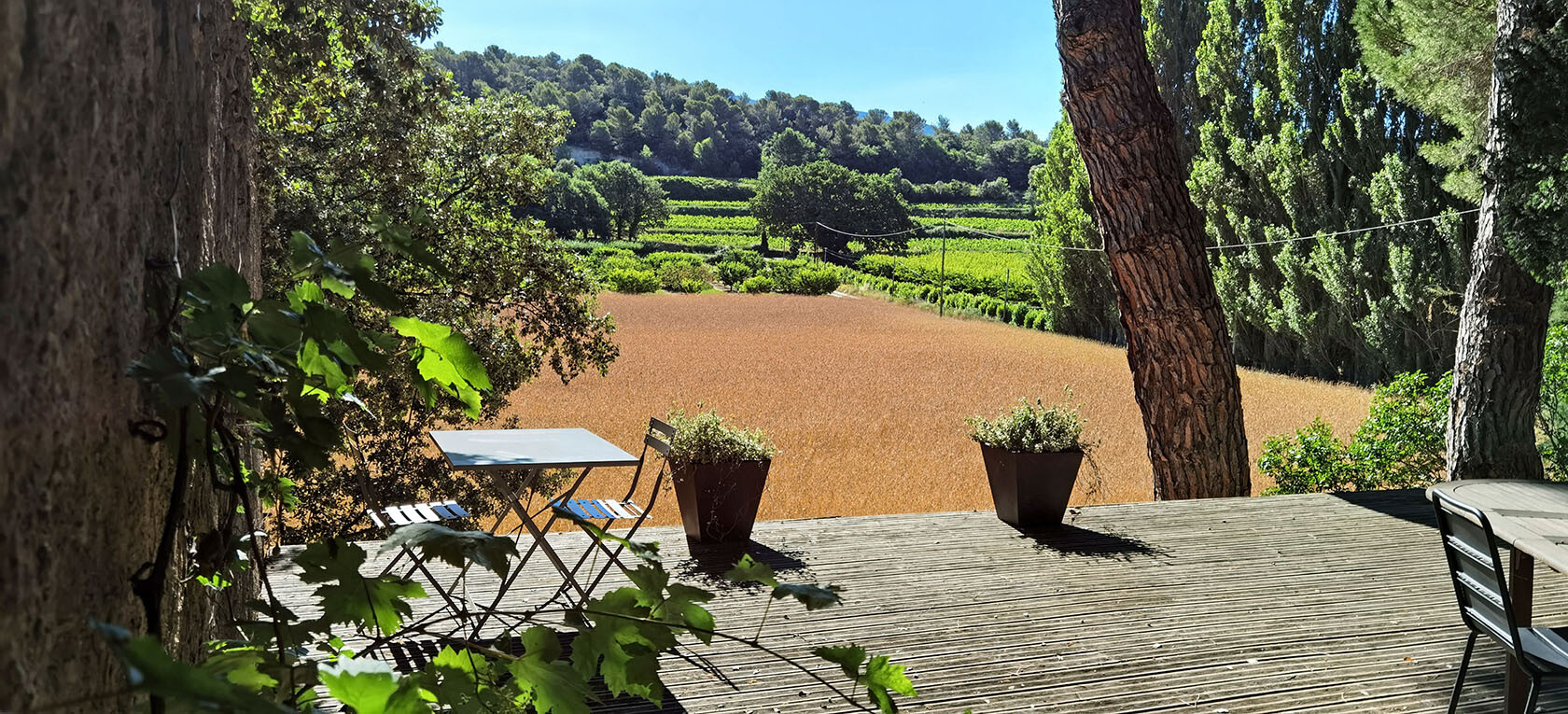 Terrace Views Le Prieuré La Madelène B&B