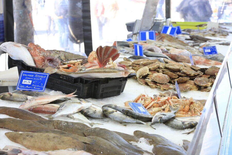 Sanary fish in stall tourist office