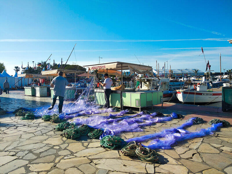 Sanary fish market tourist 