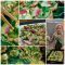 Puff Pastry Appetizers with Pea Purée and Mint Collage