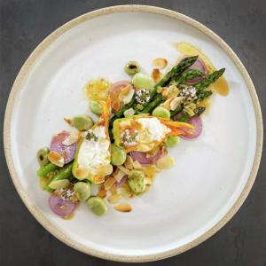 radishes and cheese-stuffed courgette flowers arranged over asparagus spears on a plate with drizzled lemon dressing