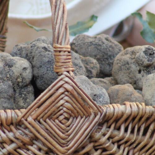 black truffles in a basket in a kitchen representing Risotto à la truffe